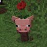Profilbild von Reylol