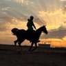 Profilbild von عبدالعزيزعبدالله_حكم دولي بالفروسية ومدرب معتمد
