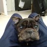 Profilbild von みき