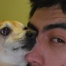David Rizo's profile picture