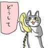 Profilbild von アンチ鬼丸ホーム