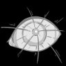 ShadowRealm Ink's profile picture
