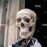 Profilbild von Rick Regazzi