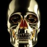 长生不老's profile picture