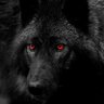 WolfBlack💫🔞💫 的头像