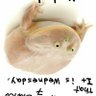 Solesbee 的头像