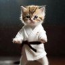 Akunpubege10's profile picture