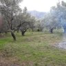 Фото профиля Georgios Raptis