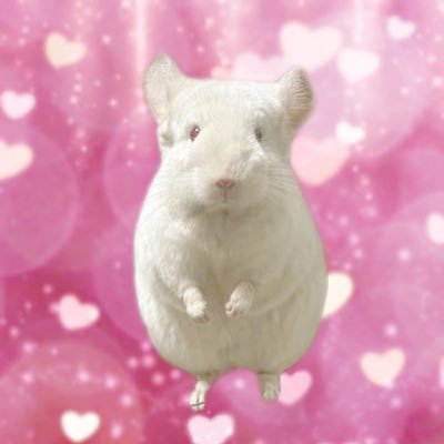 こばと♡ミシャ's profile picture