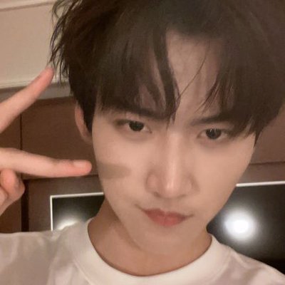 로지 (周正版)'s profile picture