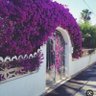 Lulu_alawlaqi profil fotoğrafı