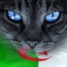 Profilbild von اوراق جزائري