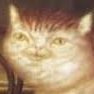 Cat Sydromde profil fotoğrafı
