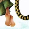 Barl21's profile picture