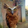 xyz's profile picture