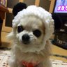 ゆっち♡'s profile picture
