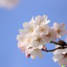 Фото профиля TAKAHIRO