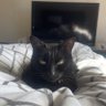 Jimmy profil fotoฤrafฤฑ