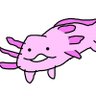 ひゃみあき's profile picture