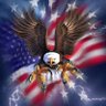 Profilbild von American Patriot