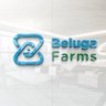 Фото профиля BelugaFarms