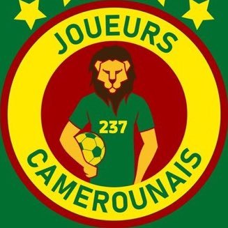 JoueursCMR's profile picture