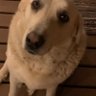 Profilbild von emmy054