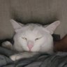 Sarah Smiles's profile picture
