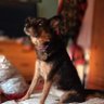 Lorraine 'Rae' profil fotoğrafı