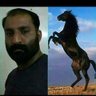 Umar Mughal's profile picture