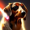 Lucas Firenzzi's profile picture