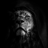 Фото профиля Zeal Eminue
