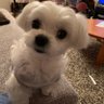 まあ's profile picture
