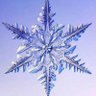 Profilbild von 千秋雪