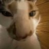 dagoos profil fotoğrafı