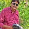 गौतम कुमार झा's profile picture