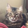 Prattbard's profile picture