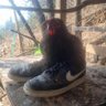 KMC_RTA (ケムシ) profil fotoğrafı