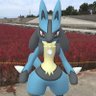 とみー profil fotoğrafı