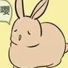 Profilbild von 啾啾啾刘