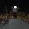あげは's profile picture