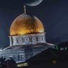 Mona Mohammad profil fotoğrafı