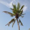 Travel Addict profil fotoฤrafฤฑ