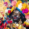 purushottam profil fotoğrafı