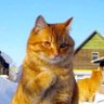 Andrii Kozlitin profil fotoğrafı