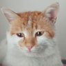 Yakup profil fotoğrafı