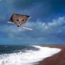 ʕ•ᴥ•ʔ's profile picture