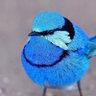Фото профиля Sally__