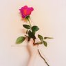 ✶ Aura Rose ✶ Guidance 的头像