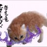 UTF-8_居脑过载 的头像